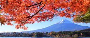 viaggi gruppo Giappone autunno